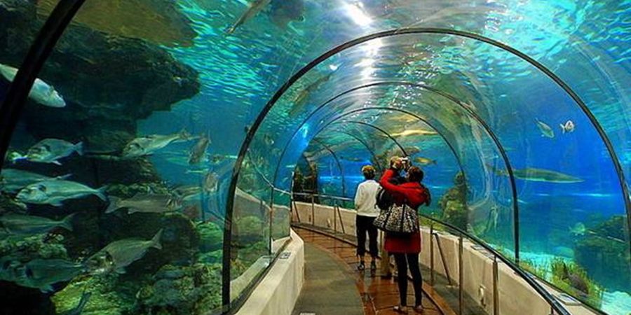 Aquarium Tour from Side